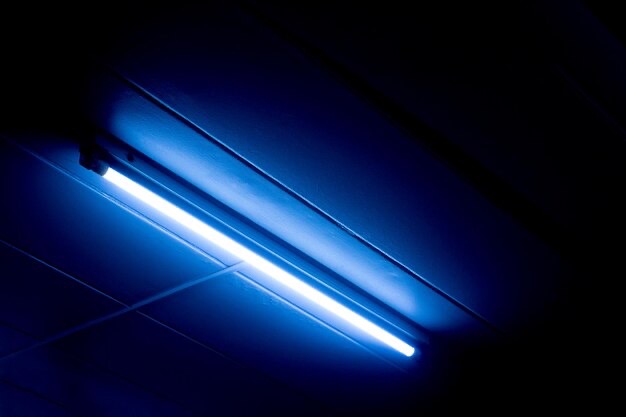 LED light bulb on the ceiling
